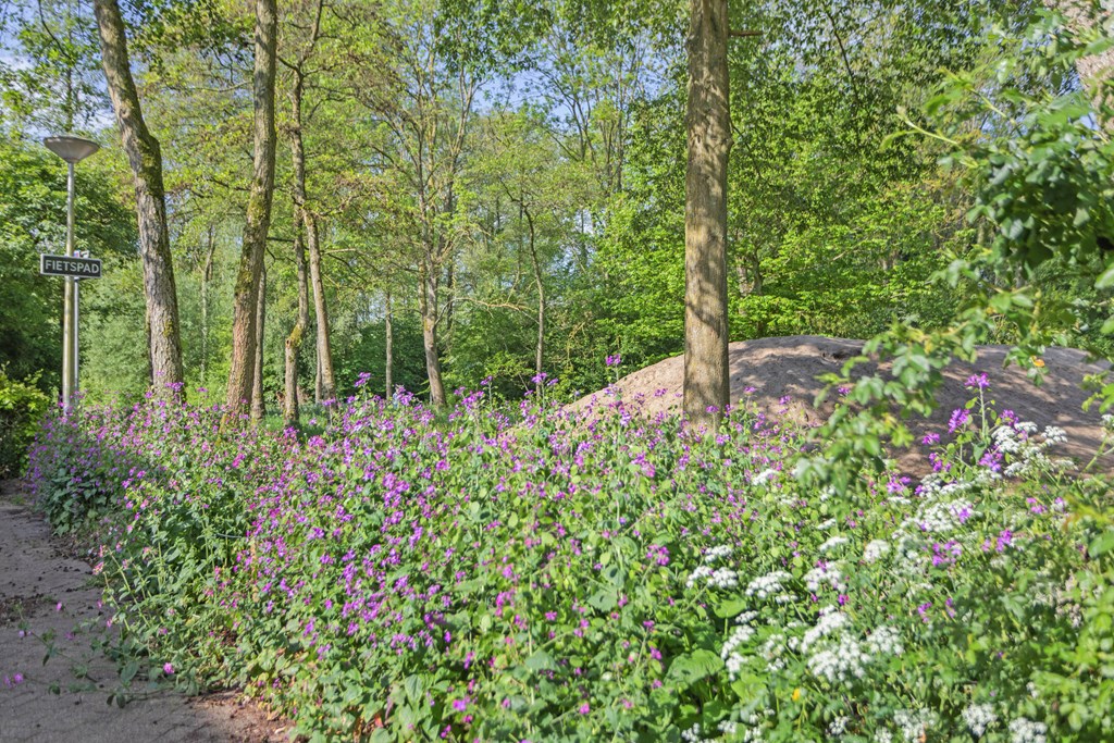 gallery-47