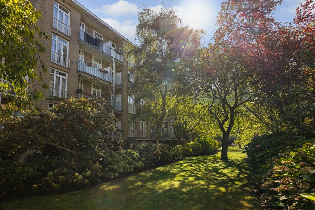 gallery-7