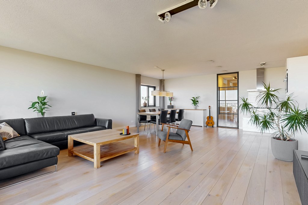 gallery-2